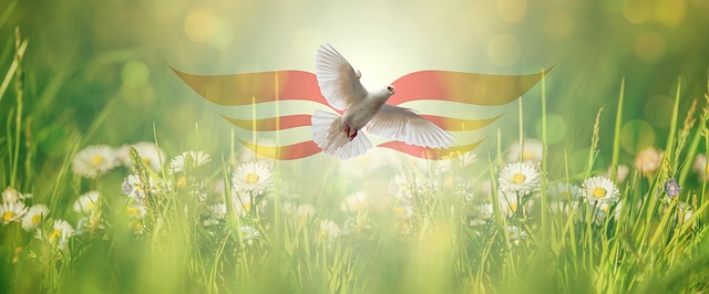 Free pentecost faith dove illustration