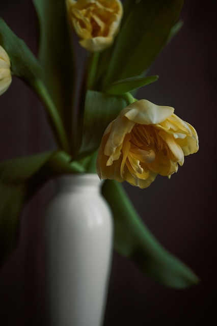 Tulpen, Schöne Blumen