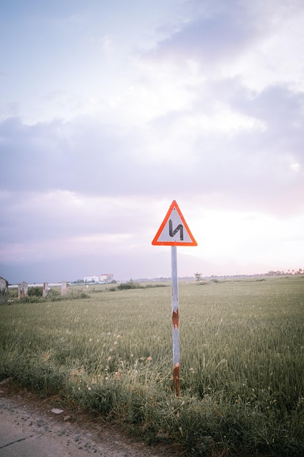 Free Field Clouds photo and picture