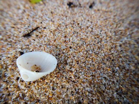 Free Clam Beach photo and picture