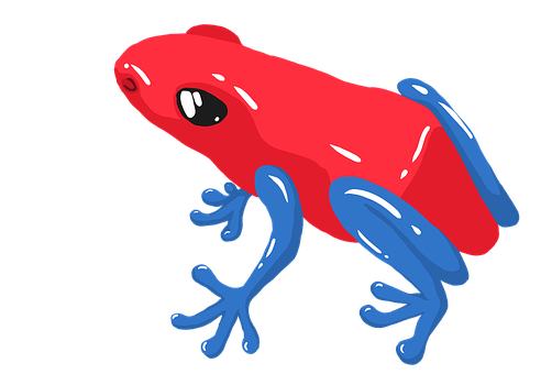 Free Poison Frog Frog illustration and picture