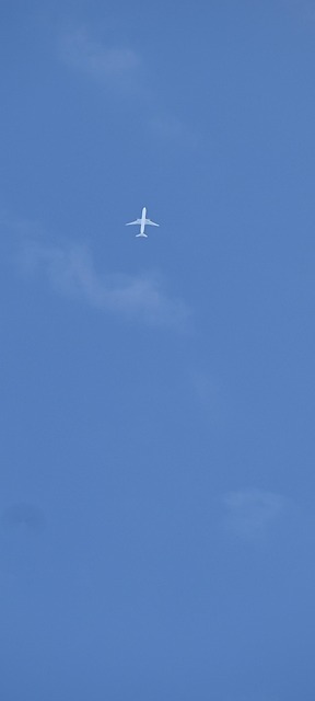 Free Aeroplane Flying photo and picture