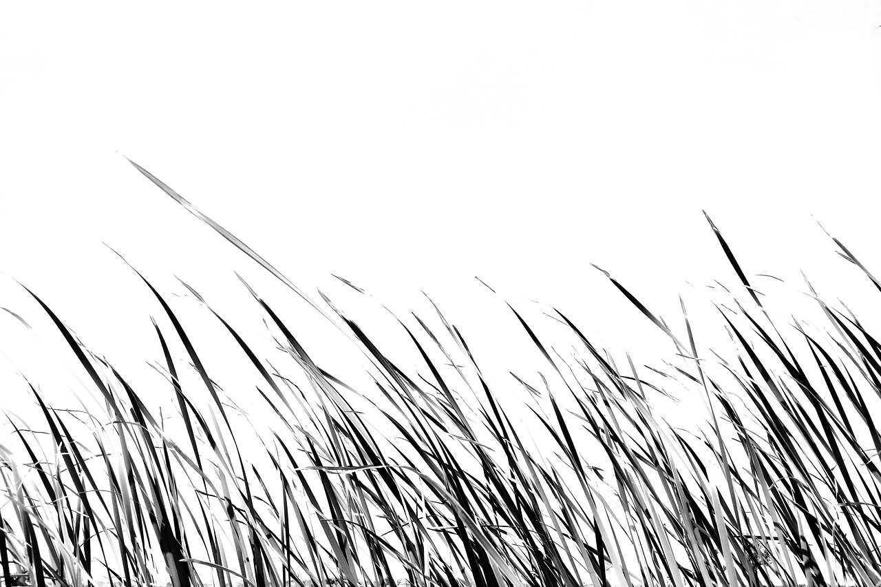 Grass Paint Texture Free photo on Pixabay Pixabay