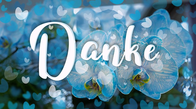 10 000 Kostenlose Danke Sagen Musik Und Vielen Dank Bilder Pixabay