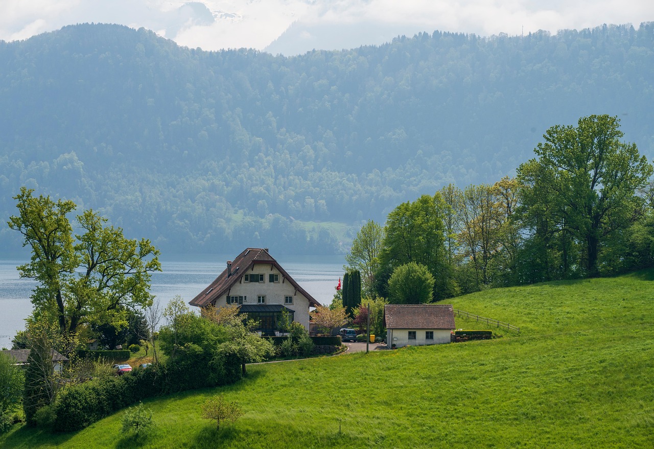 House - free online jigsaw puzzle photo