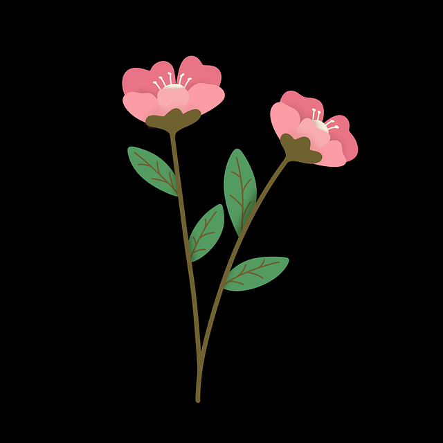 Rød, Blomst, Vinter, Natur, Bloom