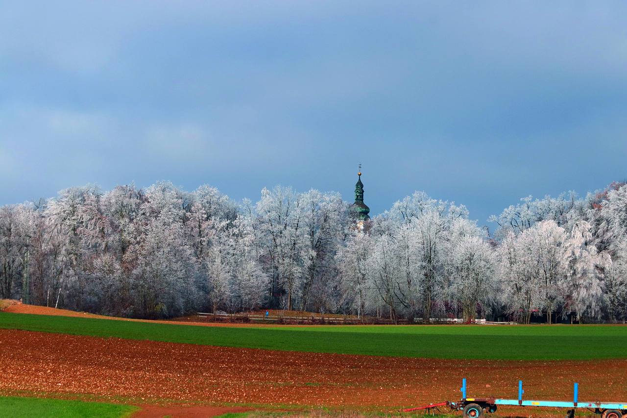 Invierno Bosque Paisaje Foto gratis en