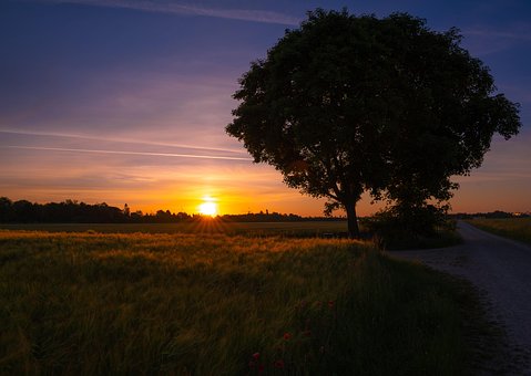 Free Grass Countryside photo and picture