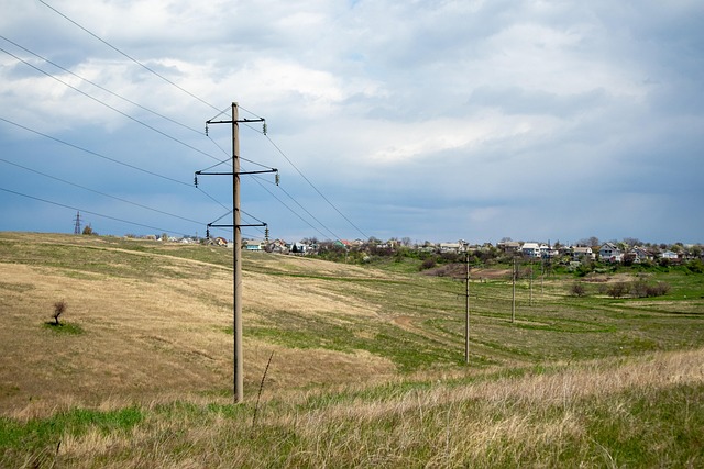 Wiese, Die Natur, Feld, Säulen