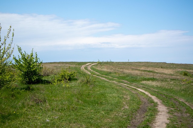 Feld, Die Natur, Himmel, Feder, Grüns