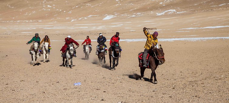 Nomád, Ladakh, Tibet, Mongol