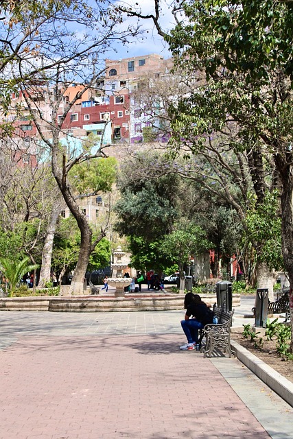 México, Parque, Paisaje, Sol, Guanajuato