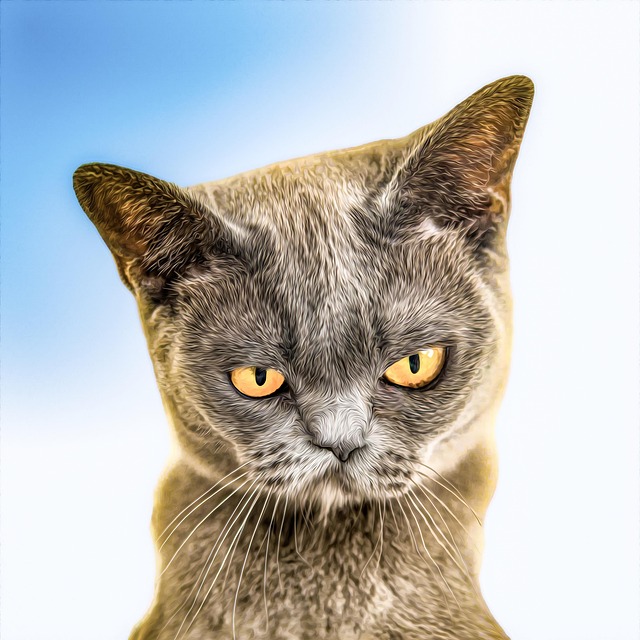 Free cat feline kitty illustration