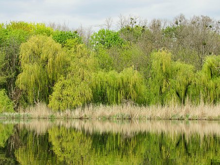 Naturaleza, Desierto, Al Aire Libre