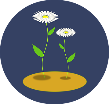Free Flower Nature vector and picture