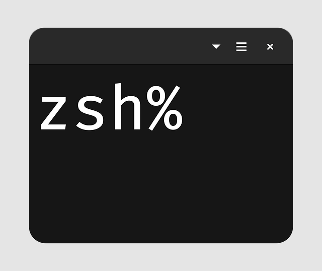 Free Zsh Console vector and picture