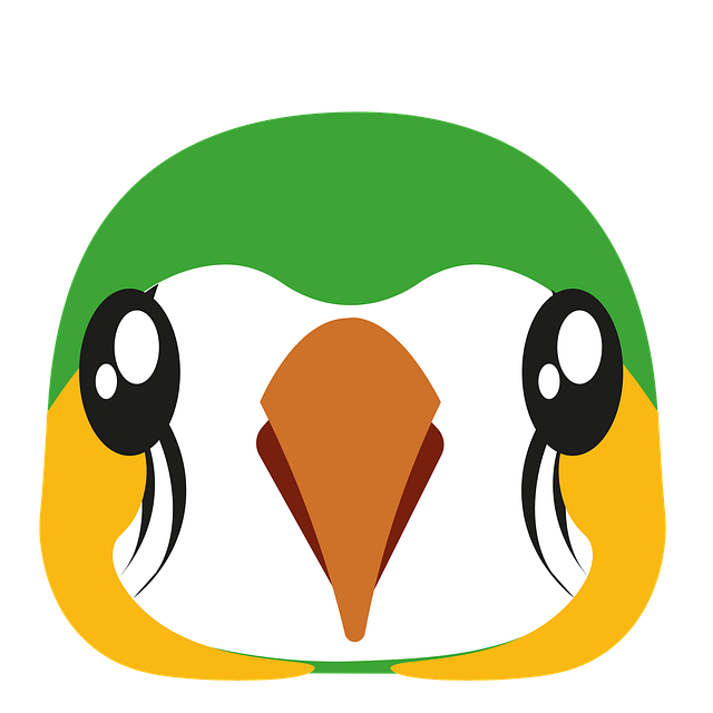 Download free HD stock image of Parrot Bird Free parrot bird head illustration