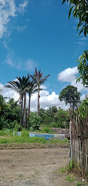 Rupia, Árvore, Céu, Cenário, Vila, Rural