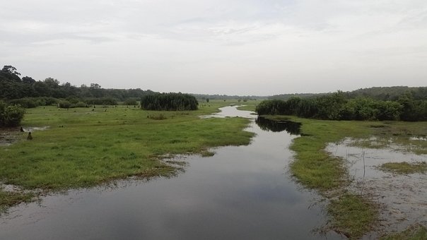 Lago, Natural, Cenário, Natureza