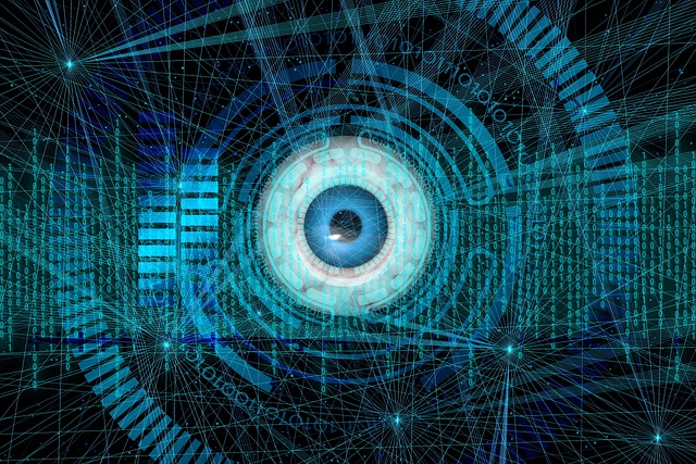 Free eye iris biometrics illustration