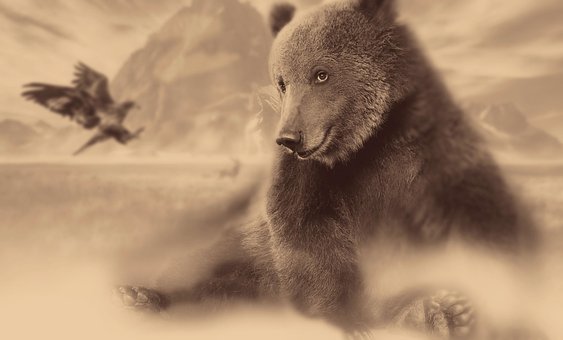 Die Natur, Wald, Berge, Adler, Vogel