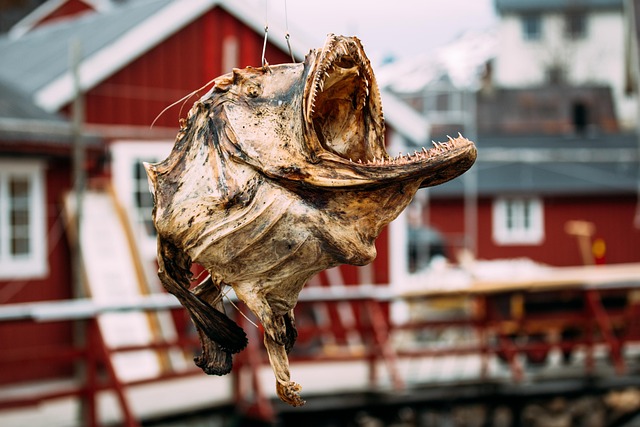 Getrockneter Fisch, Fische, Norwegen