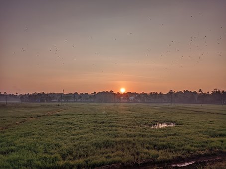 Solopgang, Sol, Natur, Morgen, Landskab