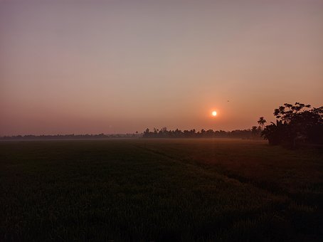 Natur, Sol, Solopgang, Gård, Morgen