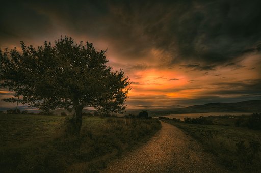 Straße, Baum, Sonnenuntergang, Feld