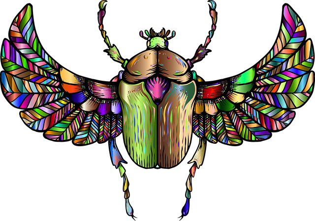 Free beetle insect animal illustration