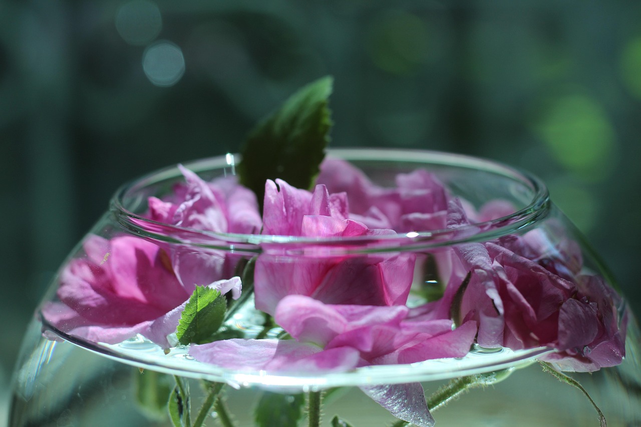 Impression sur Verre 100x40cm Tableaux Image Photo Rose fleur