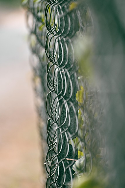 Maschendrahtzaun, Wire Mesh-Zaun, Natur