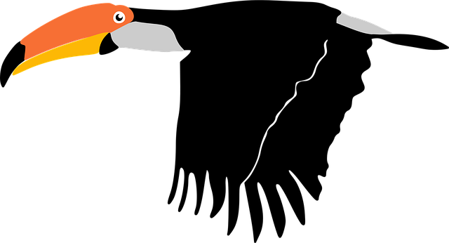 Free toucan bird animal vector