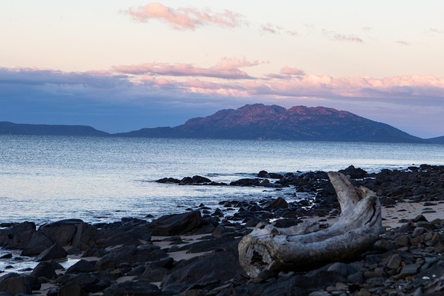 Free Sea Ocean photo and picture