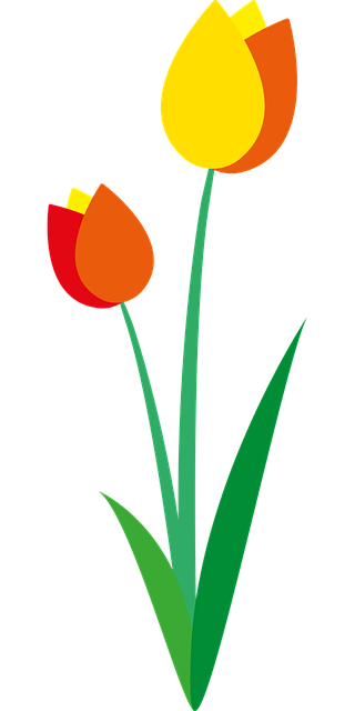 Blume, Blumen Hintergrund, Schöne Blumen