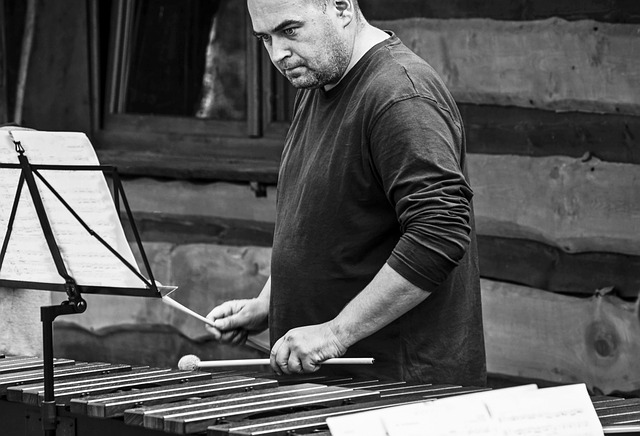 musician, music, xylophone, musical instrument, teacher, instrument, dulcimer, male, monochrome, xylophone, xylophone, xylophone, xylophone, xylophone