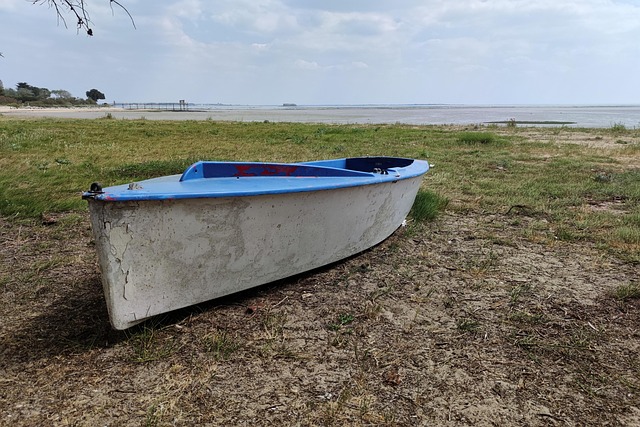 Barco, Barco De Madeira, Água, Praia