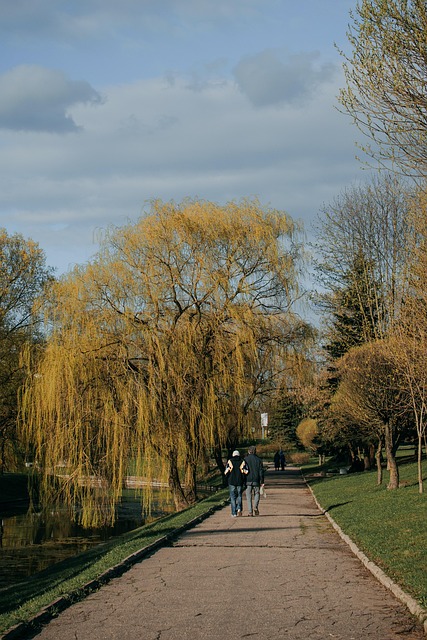 Free Nature Park photo and picture