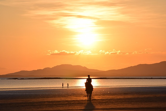 Free Beach Sunset photo and picture