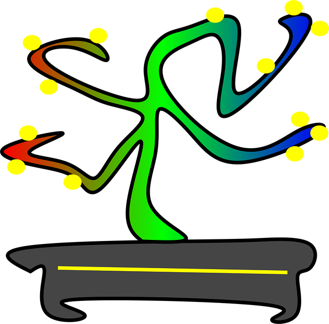Download free HD stock image of Bonsai Bonsai Tree Free bonsai bonsai tree propagate vector