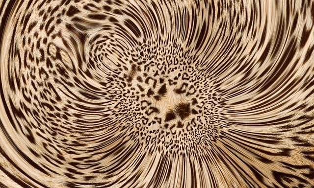 Download free HD stock image of Leopard Fur Animal Fur Free leopard fur animal fur animal print illustration