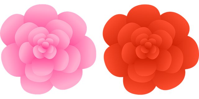 Free flowers rose design vector