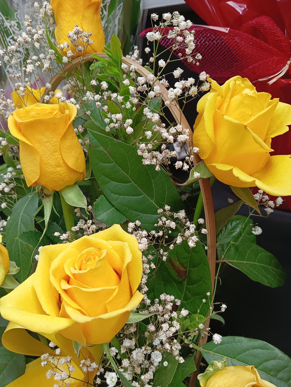 Yellow Roses Flowers Flower Free photo on Pixabay Pixabay