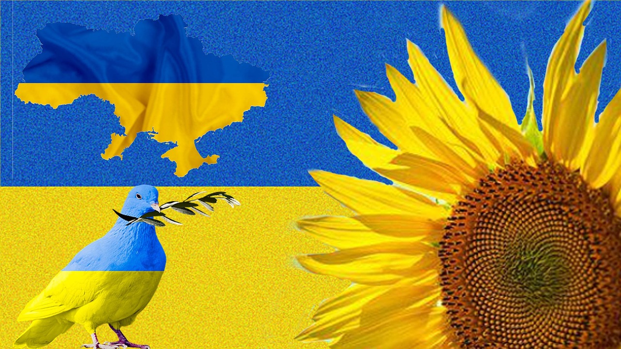 Ukraine Flagge Sonnenblume Kostenloses Foto Auf Pixabay Pixabay