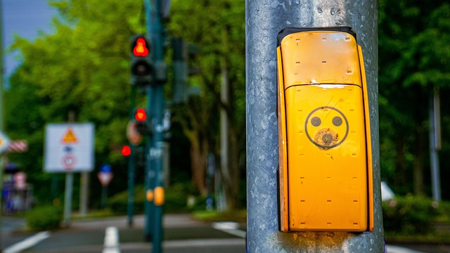 Free Traffic Light Road photo and picture