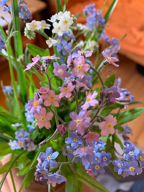 Ramo De Flores, Nomeolvides, Flores