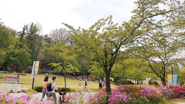 Free Park Picnic photo and picture