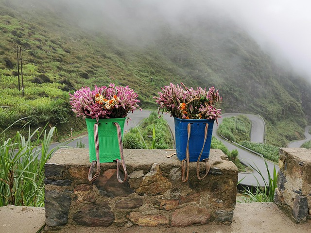 Ha Giang, Blume, Tham-Ma-Pass