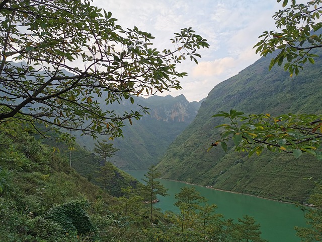 Flusstrauben, Natürliche Szene, Berg