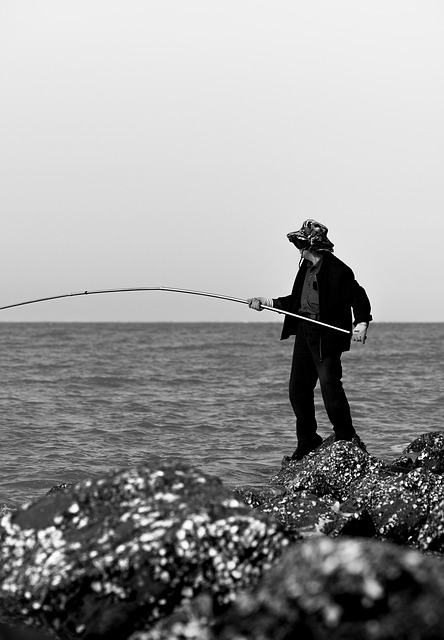 Free Fishing Fisherman photo and picture